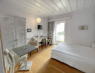Ξενοδοχείο 384 τ.μ. για πώληση, Ν. Χίου, Χίος-thumb-11