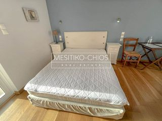 Ξενοδοχείο 384 τ.μ. για πώληση, Ν. Χίου, Χίος-thumb-23
