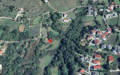 Parcel 6.000 sqm for sale