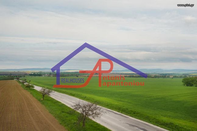 Parcel 5.600 sqm for sale, Ioannina Prefecture, Anatoli
