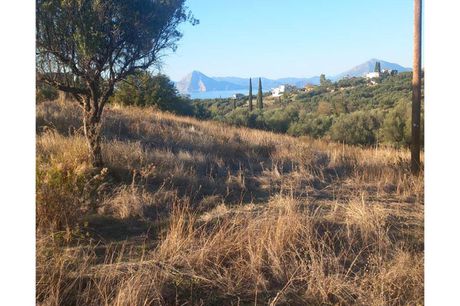 Οικόπεδο 4.000τ.μ. για πώληση-Μεσσατίδα » Κρήνη
