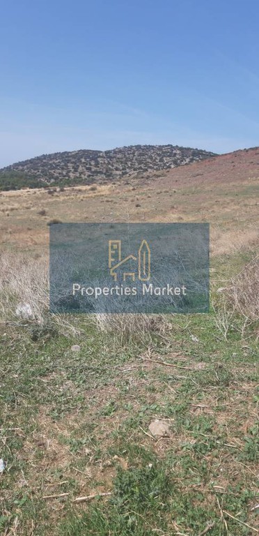 Οικόπεδο 6.036 τ.μ. πρός πώληση, Αττική - Υπόλοιπο, Καλύβια Θορικού