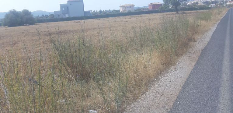 Parcel 5.200 sqm for sale, Rest Of Attica, Keratea