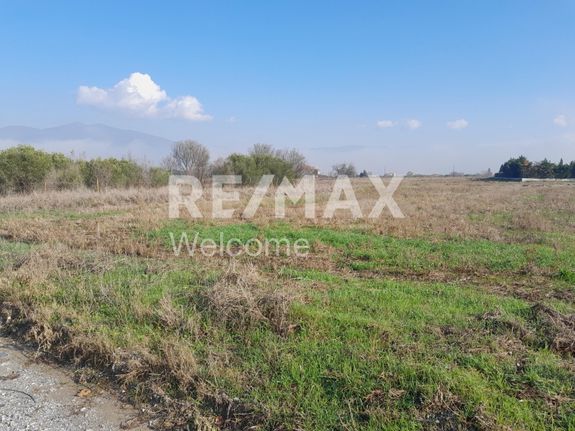 Αγροτεμάχια 5.696 τ.μ. για πώληση, Θεσσαλονίκη - Περιφ/Κοί Δήμοι, Θέρμη