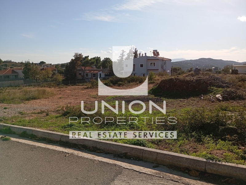 Οικόπεδο 1.033 τ.μ. πρός πώληση, Αττική - Υπόλοιπο, Ραφήνα