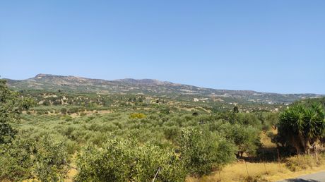 Αγροτεμάχια 4.118 τ.μ. για πώληση