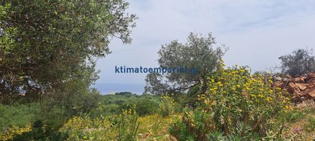 Land plot 6.500sqm for sale-Vamos