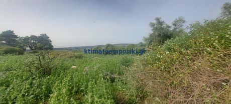 Land plot 2.081sqm for sale-Krionerida