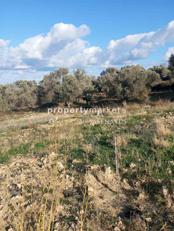 Οικόπεδο 3.350 τ.μ. πρός πώληση, Ν. Ρεθύμνου, Αρκάδι