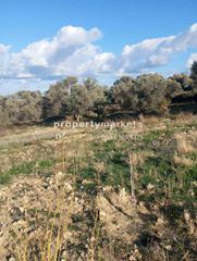 Οικόπεδο 3.350 τ.μ. πρός πώληση, Ν. Ρεθύμνου, Αρκάδι-thumb-2