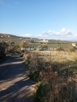 Land plot 3.350sqm for sale-Arkadi » Mesi