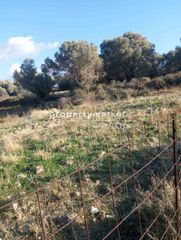 Οικόπεδο 3.350 τ.μ. πρός πώληση, Ν. Ρεθύμνου, Αρκάδι-thumb-3