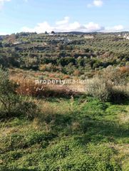 Οικόπεδο 5.200 τ.μ. για πώληση, Ν. Ρεθύμνου, Αρκάδι-thumb-2
