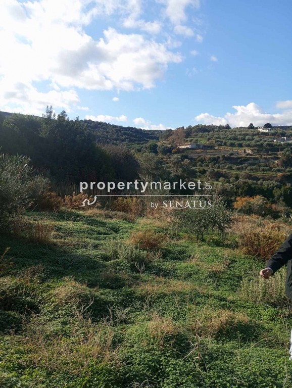 Οικόπεδο 5.200 τ.μ. για πώληση, Ν. Ρεθύμνου, Αρκάδι