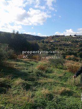 Land plot 5.200sqm for sale-Arkadi » Mesi