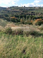 Οικόπεδο 5.200 τ.μ. για πώληση, Ν. Ρεθύμνου, Αρκάδι-thumb-3