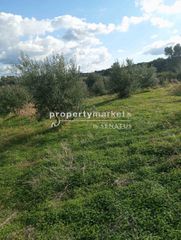 Οικόπεδο 2.800 τ.μ. για πώληση, Ν. Ρεθύμνου, Αρκάδι-thumb-6