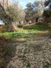 Οικόπεδο 2.800 τ.μ. για πώληση, Ν. Ρεθύμνου, Αρκάδι-thumb-14