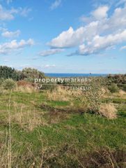 Οικόπεδο 2.800 τ.μ. για πώληση
