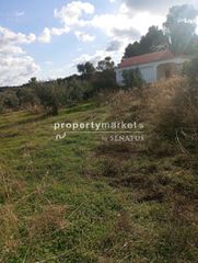 Οικόπεδο 2.800 τ.μ. για πώληση, Ν. Ρεθύμνου, Αρκάδι-thumb-3