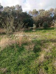 Οικόπεδο 2.800 τ.μ. για πώληση, Ν. Ρεθύμνου, Αρκάδι-thumb-8