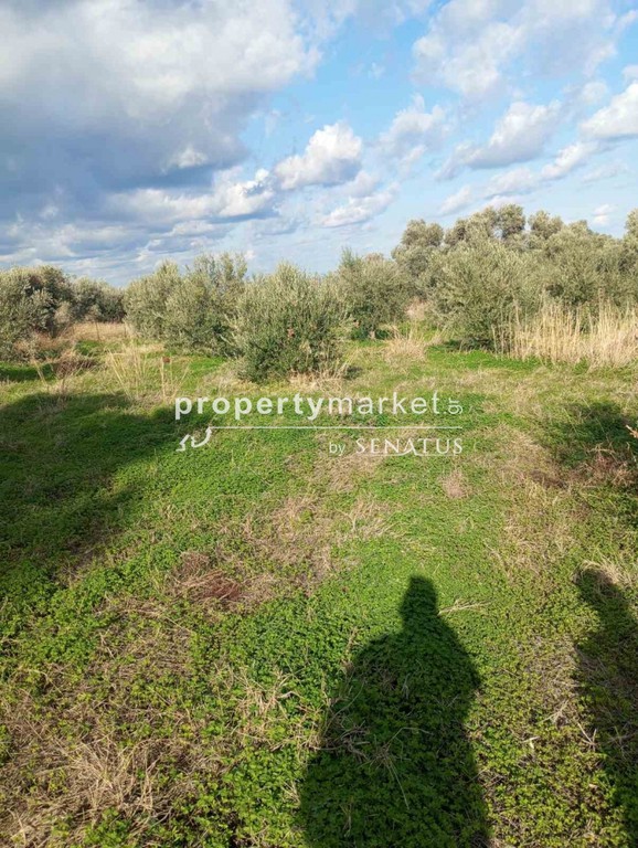 Land plot 2.800 sqm for sale, Rethymno Prefecture, Arkadi