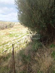 Οικόπεδο 2.800 τ.μ. για πώληση, Ν. Ρεθύμνου, Αρκάδι-thumb-13