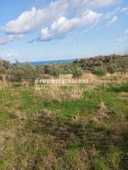 Οικόπεδο 2.800 τ.μ. για πώληση, Ν. Ρεθύμνου, Αρκάδι-thumb-5