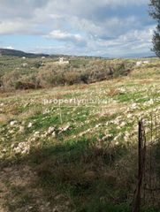 Οικόπεδο 2.800 τ.μ. για πώληση, Ν. Ρεθύμνου, Αρκάδι-thumb-12