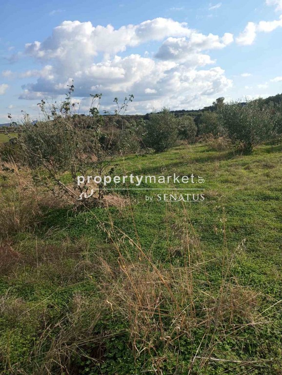 Land plot 2.800 sqm for sale, Rethymno Prefecture, Arkadi