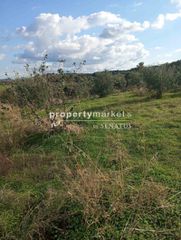 Οικόπεδο 2.800 τ.μ. για πώληση, Ν. Ρεθύμνου, Αρκάδι-thumb-2
