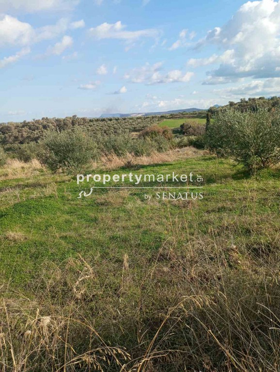 Land plot 2.800 sqm for sale, Rethymno Prefecture, Arkadi