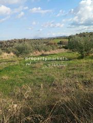 Οικόπεδο 2.800 τ.μ. για πώληση, Ν. Ρεθύμνου, Αρκάδι-thumb-1