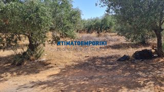 Οικόπεδο 4.287,35 τ.μ. για πώληση, Ν. Χανίων, Σούδα-thumb-4
