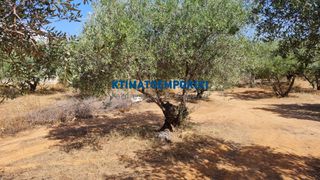 Οικόπεδο 4.287,35 τ.μ. για πώληση, Ν. Χανίων, Σούδα-thumb-2