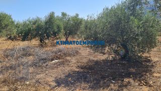 Οικόπεδο 4.287,35 τ.μ. για πώληση, Ν. Χανίων, Σούδα-thumb-6