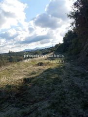 Οικόπεδο 2.000 τ.μ. για πώληση, Ν. Ρεθύμνου, Αρκάδι-thumb-5