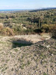 Οικόπεδο 2.000 τ.μ. για πώληση, Ν. Ρεθύμνου, Αρκάδι-thumb-4