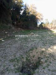Οικόπεδο 2.000 τ.μ. για πώληση, Ν. Ρεθύμνου, Αρκάδι-thumb-11