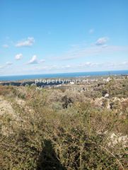 Οικόπεδο 2.000 τ.μ. για πώληση, Ν. Ρεθύμνου, Αρκάδι-thumb-8