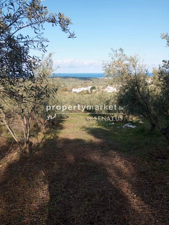 Οικόπεδο 2.200 τ.μ. πρός πώληση, Ν. Ρεθύμνου, Αρκάδι