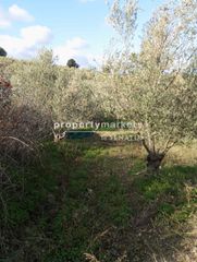Οικόπεδο 2.200 τ.μ. πρός πώληση, Ν. Ρεθύμνου, Αρκάδι-thumb-8