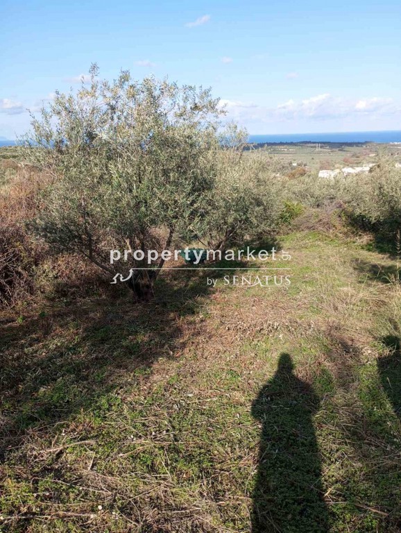 Οικόπεδο 2.200 τ.μ. πρός πώληση, Ν. Ρεθύμνου, Αρκάδι