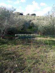 Οικόπεδο 2.200 τ.μ. πρός πώληση, Ν. Ρεθύμνου, Αρκάδι-thumb-11