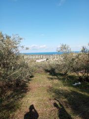 Οικόπεδο 2.200 τ.μ. πρός πώληση, Ν. Ρεθύμνου, Αρκάδι-thumb-13