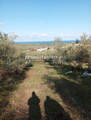 Οικόπεδο 2.200 τ.μ. πρός πώληση, Ν. Ρεθύμνου, Αρκάδι-thumb-14