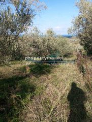 Οικόπεδο 2.200 τ.μ. πρός πώληση, Ν. Ρεθύμνου, Αρκάδι-thumb-7