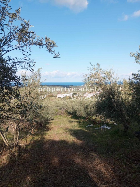 Οικόπεδο 2.200 τ.μ. πρός πώληση, Ν. Ρεθύμνου, Αρκάδι
