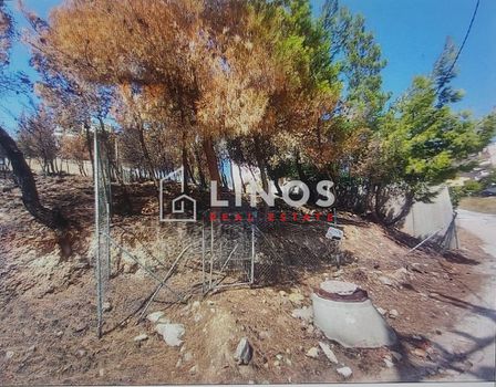 Οικόπεδο 495τ.μ. για πώληση-Ραφήνα
