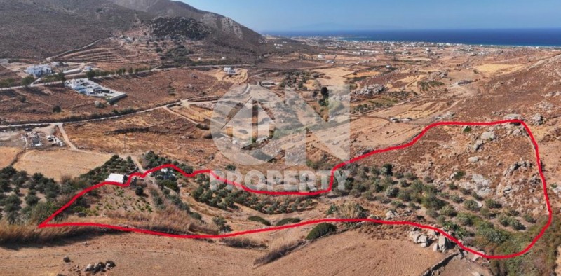 Αγροτεμάχια 13.720 τ.μ. πρός πώληση, Κυκλάδες, Νάξος
